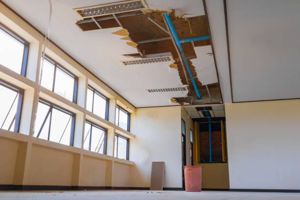 Best Carpet water damage restoration  in Myerstown, PA