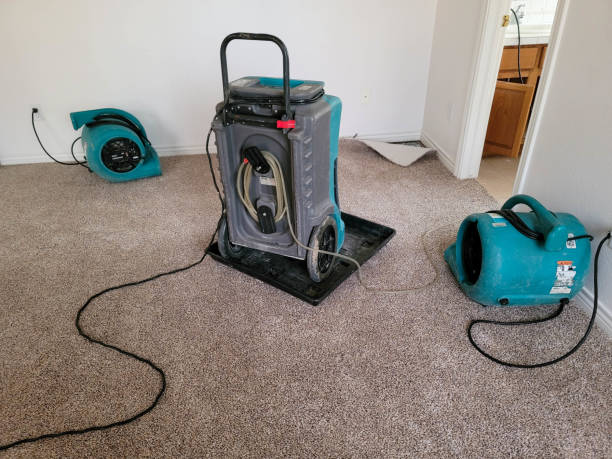Best Water damage restoration near me  in Myerstown, PA