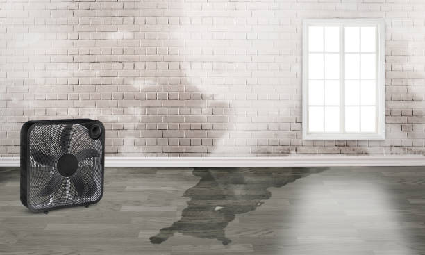 Best Water damage restoration near me  in Myerstown, PA