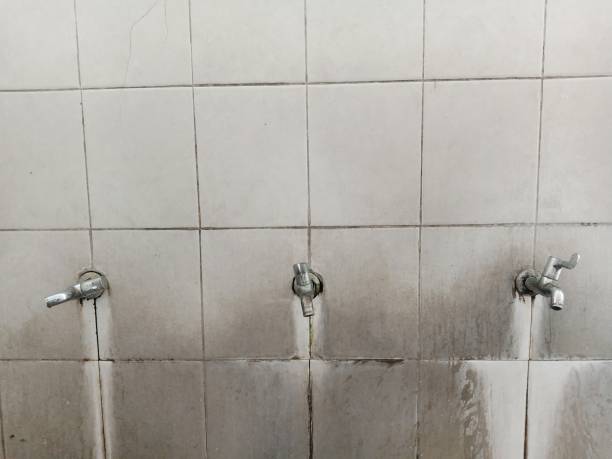 Best Water damage contractors near me  in Myerstown, PA