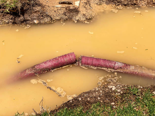 Best 24/7 water damage repair  in Myerstown, PA