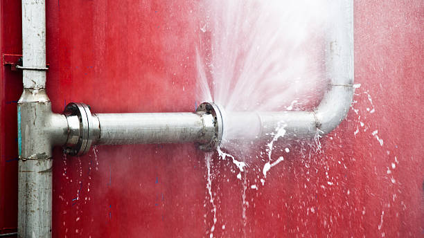 Best Water damage restoration experts  in Myerstown, PA